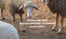 Kurban Eti Nasıl Paylaştırılmalıdır ve Kimlere Verilmelidir?