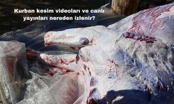 Kurban Kesim Videoları ve Canlı Yayınları Nereden İzlenir?