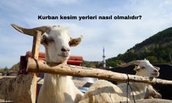 Kurban Kesim Yerleri Nasıl Olmalıdır?