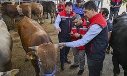 Kurban pazarlarında bayram hareketliliği başladı