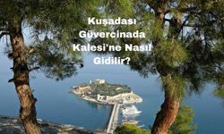 Kuşadası Güvercinada Kalesi'ne Nasıl Gidilir?