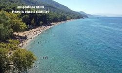 Kuşadası Milli Park'a Nasıl Gidilir?