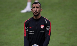 Mehmet Topal, Rumen ekibi Petrolul'un başına geçti