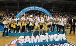 Mersin Büyükşehir Belediyesi, Basketbol Süper Ligi'ne yükseldi