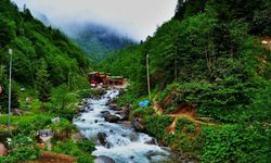 Rize Ayder Yaylası'na Nasıl Gidilir?