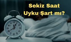 Sekiz Saat Uyku Şart mı? Bilimsel Gerçekler ve Efsaneler