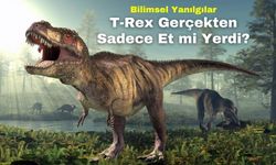 T-Rex Gerçekten Sadece Et mi Yerdi? Bilimsel Yanılgılar ve Gerçekler