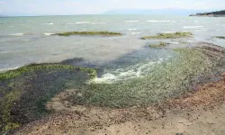 Eğirdir Gölü alarm verdi: Binlerce kabuklu ölüsü kıyıya vurdu