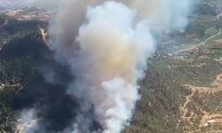 İzmir'in Ödemiş ilçesinde orman yangını