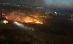 İzmir'de korkutan yangın