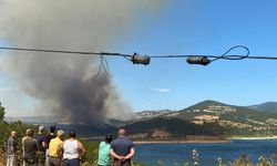 Çanakkale Bayramiç'te orman yangını