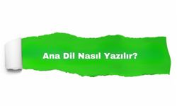 Ana Dil Nasıl Yazılır? TDK'ya Göre Doğru Yazımı ve Anlamı