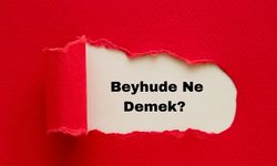 Beyhude Ne Demek? TDK'ya Göre Anlamı ve Kullanım Alanları