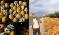 Üretici isyanda limonlar yollarda! Pazarda 100 lira tarlada para etmiyor...