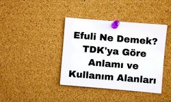 Efuli Ne Demek? TDK'ya Göre Anlamı ve Kullanım Alanları