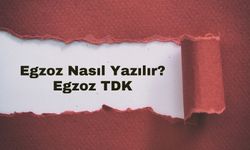 Egzoz Nasıl Yazılır? TDK'ya Göre Doğru Yazımı ve Anlamı