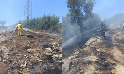 Hatay Yayladağı’nda orman yangını