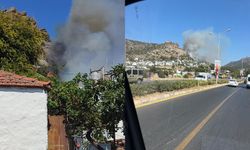 Bodrum’da makilik alanda yangın