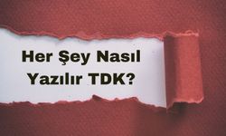 Her Şey Nasıl Yazılır TDK? Her Şey Nedir? Her Şey TDK?