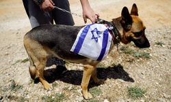 İsrail'in soykırım köpekleri!