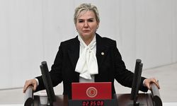 İYİ Parti'de yaprak dökümü sürüyor: Nimet Özdemir de istifa etti