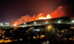 İzmir'deki orman yangınıyla ilgili 4 gözaltı