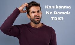 Kanıksama Ne Demek TDK? Kanıksama Ne Demek? Kanıksama TDK?