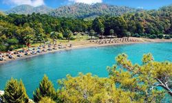 Muğla Fethiye Günlüklü Koyu'na Nasıl Gidilir?