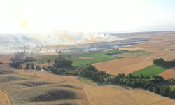 Yozgat'ta 1000 dekar buğday tarlası yandı