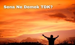 Sena Ne Demek? TDK'ya Göre Anlamı ve Kullanım Alanları