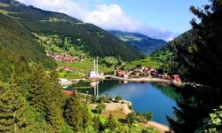 Trabzon Uzungöl'e Nasıl Gidilir?