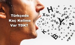 Türkçede Kaç Kelime Var? TDK'ya Göre Durum