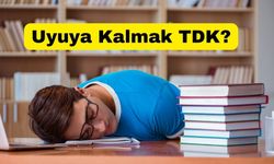 Uyuya Kalmak Ne Demek? TDK'ya Göre Anlamı ve Kullanım Alanları