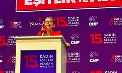 CHP Kadın Kolları Genel Başkanı Asu Kaya oldu