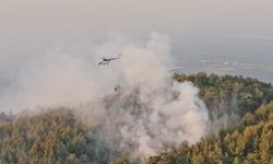 Aydın'daki orman yangınında 2. gün: Müdahale sürüyor