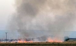 Diyarbakır'da anız yangını