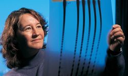 Carol Greider Kimdir? Telomerlerin Sırrını Çözen Nobel Ödüllü Biyolog