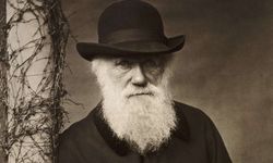 Charles Darwin Kimdir? Evrim Teorisi ile Bilimi Sarsan Bilim İnsanı