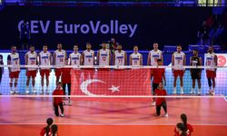 A Milli Erkek Voleybol Takımı, Danimarka karşısında