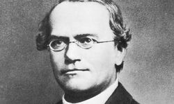 Gregor Mendel Kimdir? Genetik Biliminin Temellerini Atan Rahip