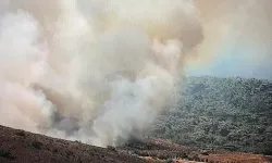 Bozcaada’da yangın: Havadan ve karadan müdahale ediliyor