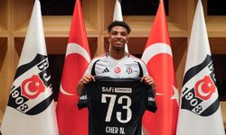 Cher Ndour, Beşiktaş'ta