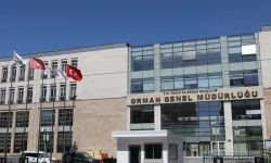 Orman Genel Müdürlüğü'nde görevden almalar: Resmi Gazete'de yayımlandı