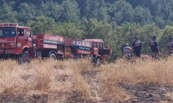 Kütahya'da yıldırım düşen ormanda yangın çıktı!