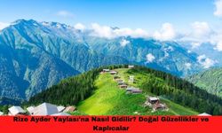 Rize Ayder Yaylası'na Nasıl Gidilir? Doğal Güzellikler ve Kaplıcalar