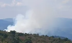 Simav’da yıldırım kaynaklı orman yangını: 2,5 hektar alan zarar gördü