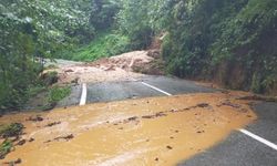 Artvin'de heyelan: 32 köy yolu açıldı