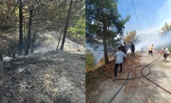 Hatay'da çıkan orman yangını söndürüldü