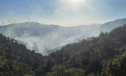 Hatay Antakya'da orman yangını