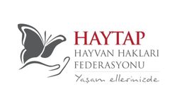 HAYTAP Nedir? Nelere Yardım Sağlar ve Nasıl Bağış Yapılır?